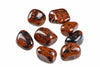 Seven polished tumbled stones with dark brown and black speckled patterns on a white background.