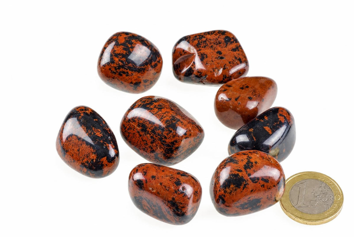 Eight polished, smooth stones with dark brown and black speckled patterns on a white surface next to a one euro coin.