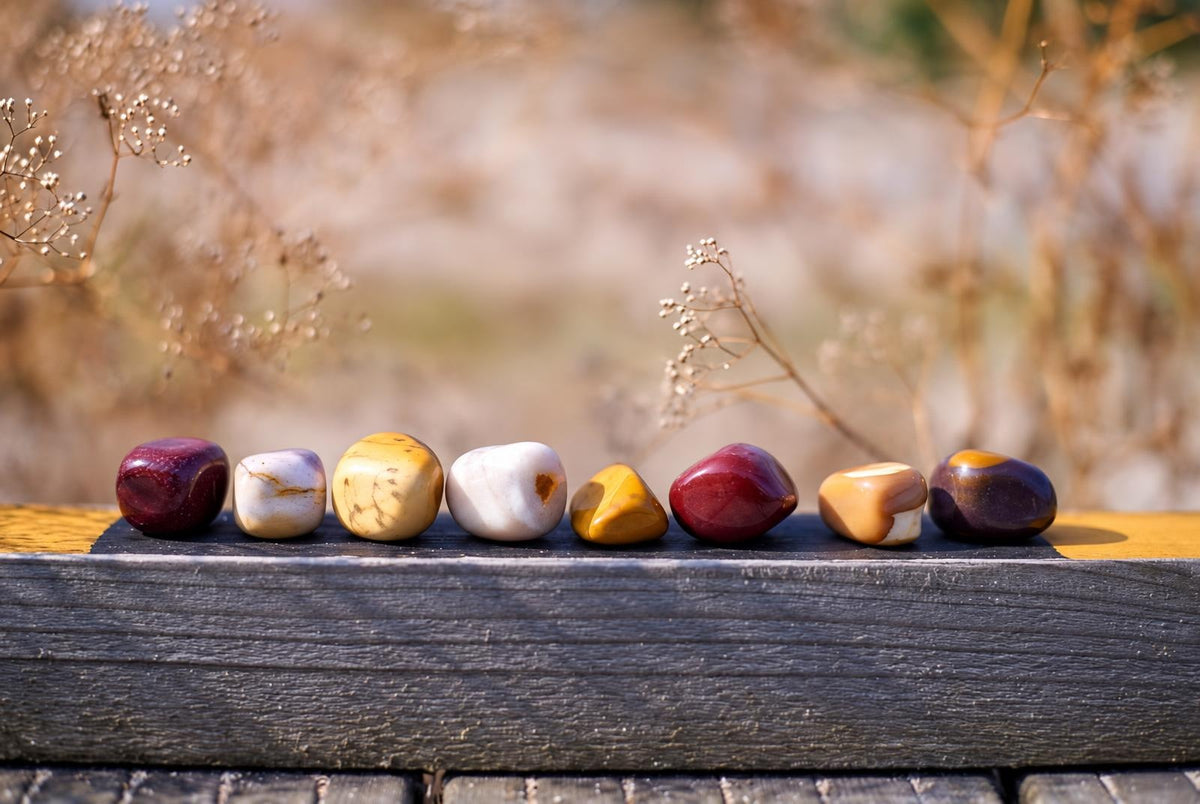 Seven polished stones in red, white, yellow and brown colours arranged on a dark wooden surface with dry plants in the background.