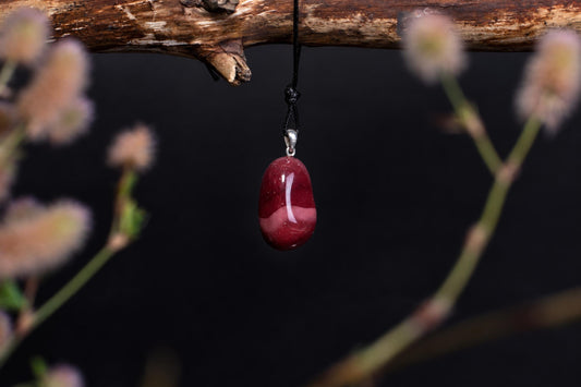 A polished red pendant with a silver bail hangs from a black cord on a wooden branch against a dark background.