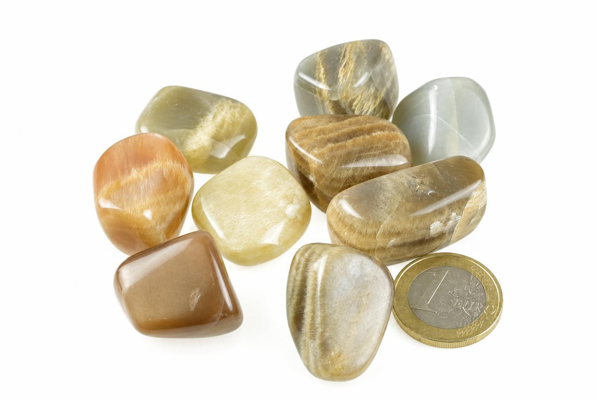 A collection of polished, smooth stones in shades of brown, tan, and grey with a white background.