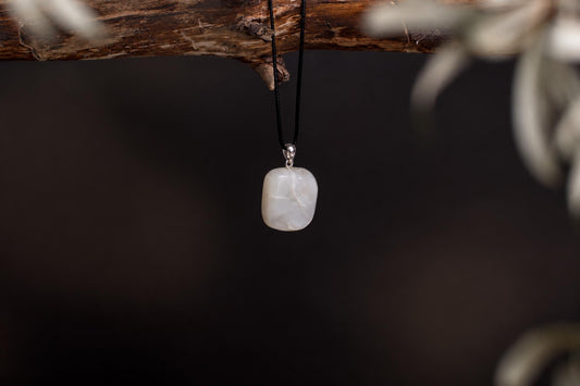 A white, polished stone pendant on a black cord hangs from a dark wooden branch against a dark background.
