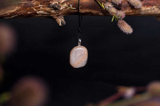A polished, pale stone pendant with subtle brown veining hangs from a black cord on a dark wooden branch.