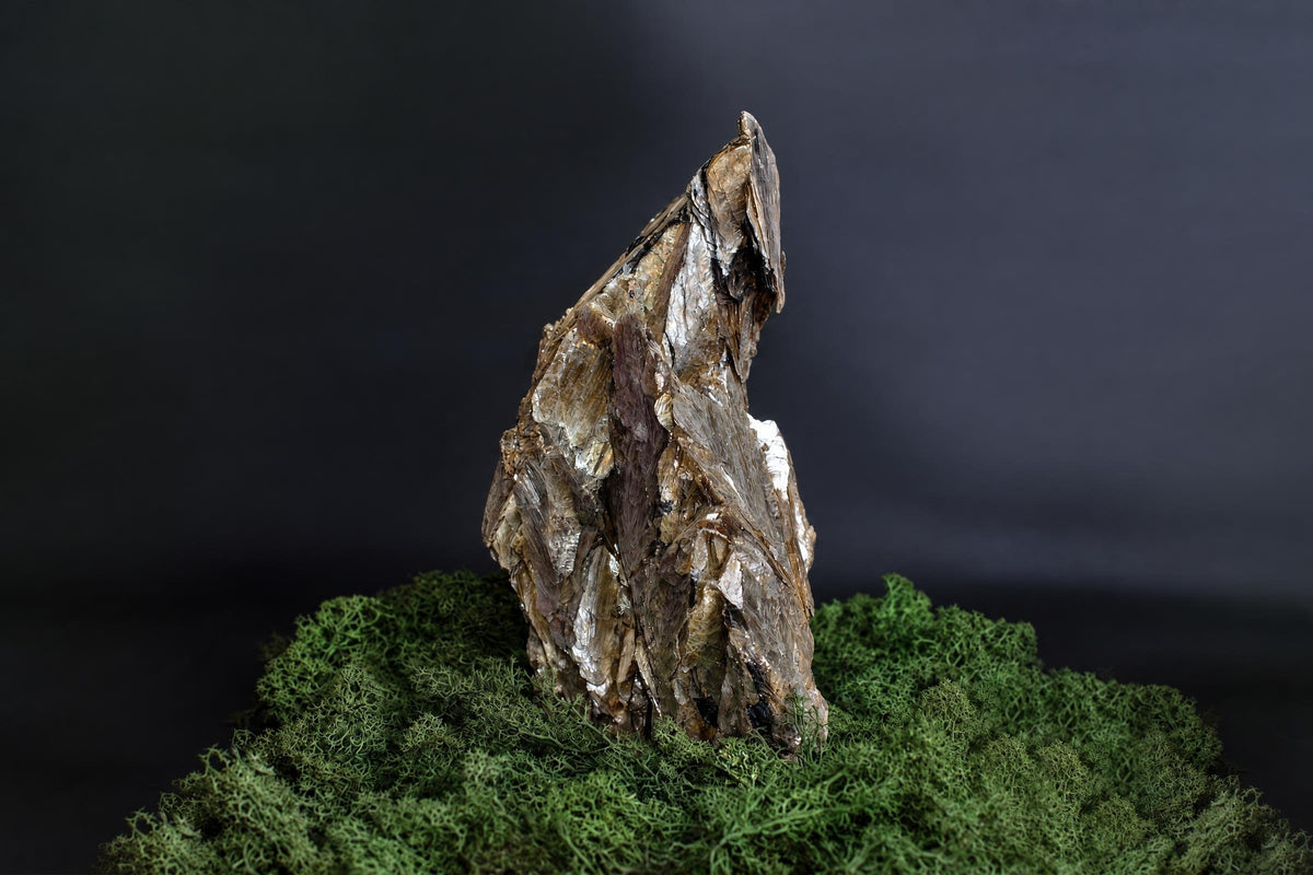 A tall, jagged muscovite crystal with brown and silver-toned layers stands on a bed of green moss against a dark background.