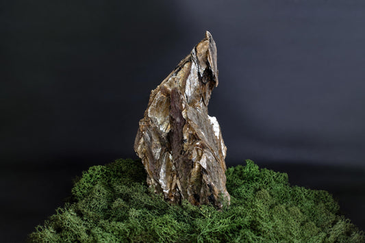A tall, jagged muscovite crystal with brown and silver-toned layers stands on a bed of green moss against a dark background.