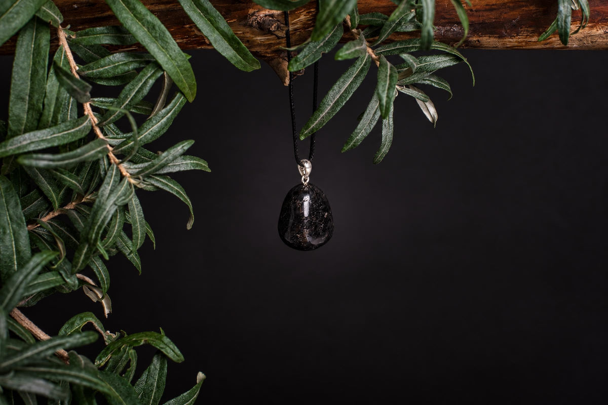 A black, teardrop-shaped pendant with a silver-toned bail hangs from a dark cord against a dark background, framed by green leaves.