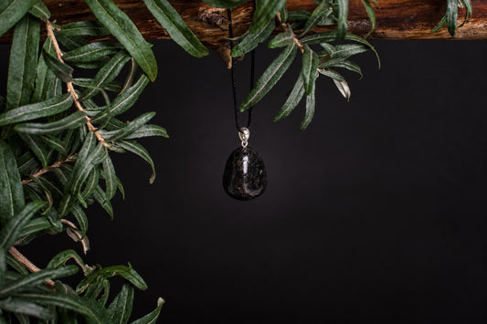 A black, teardrop-shaped pendant with a silver-toned bail hangs from a dark cord against a dark background, framed by green leaves.