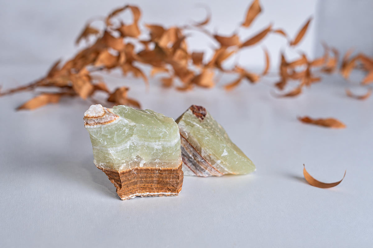 Two rough, layered stones with pale green tops and brown bases rest on a light surface near dried leaves.