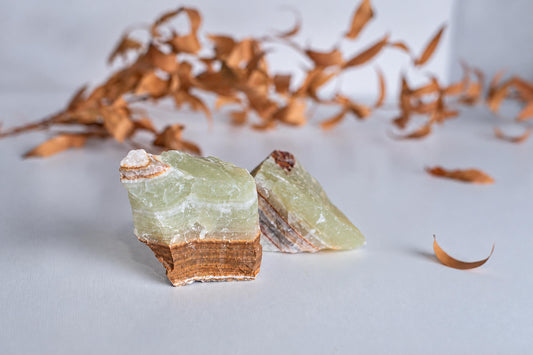 Two rough, layered stones with pale green tops and brown bases rest on a light surface near dried leaves.
