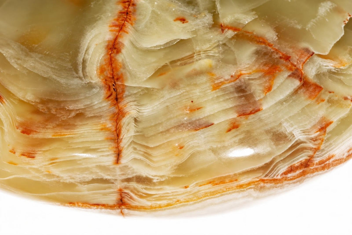 A polished stone slice with layered patterns in pale cream and dark brown, resting on a white surface.