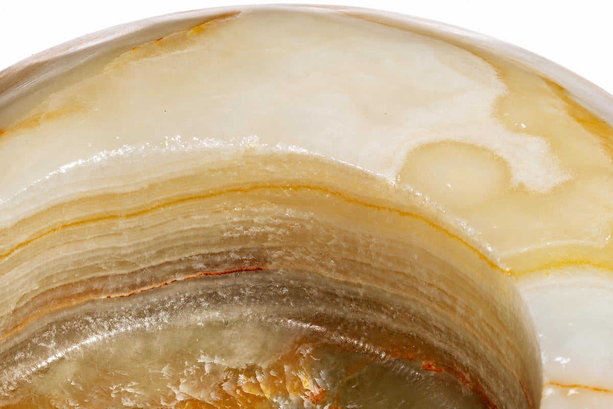 A polished, curved slice of banded onyx stone showing layers of cream, pale yellow and brown against a white background.