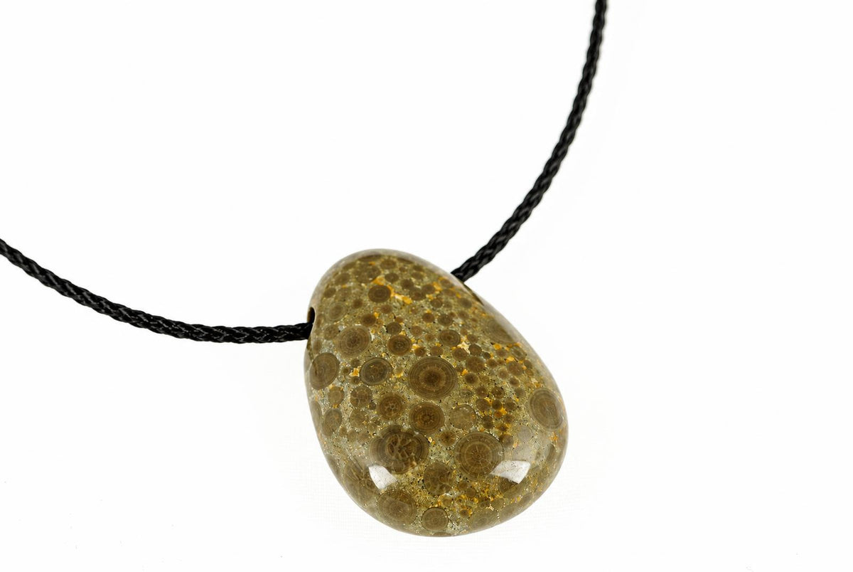A polished teardrop-shaped pendant with a golden-brown surface featuring circular fossil patterns, suspended on a black cord against a white background.
