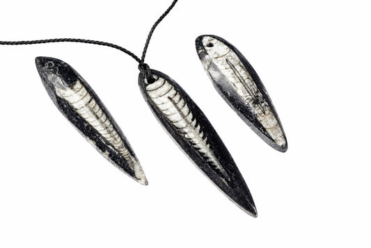 Three black and white Orthoceras fossil pendants hang from a dark cord against a pale surface.