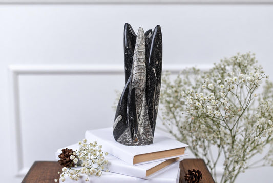A polished Orthoceras fossil sculpture with black and grey bands stands on stacked white books, surrounded by baby's breath flowers and pinecones.