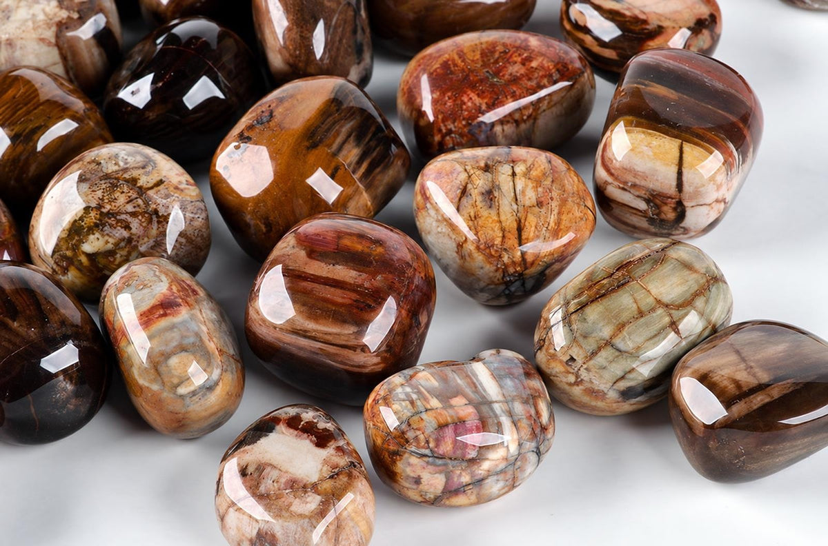 A collection of polished, smooth stones with brown, tan and grey banding patterns on a pale surface.