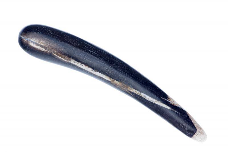 Petrified wood – massage stick