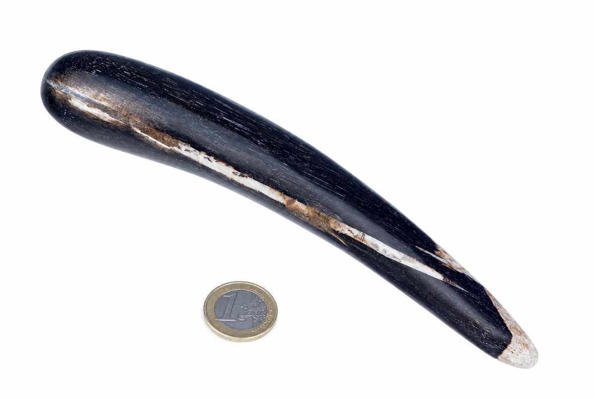 A dark, polished massage stick with a lighter central stripe and rounded tip rests on a white surface next to a one-euro coin.