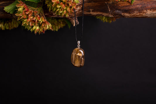A polished brown pendant with golden stripes hangs from a black cord on a dark surface, near green and red plant sprigs.