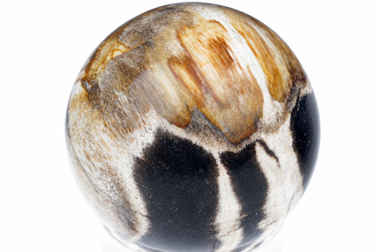 A polished sphere with a white, brown and black patterned surface on a pale background.