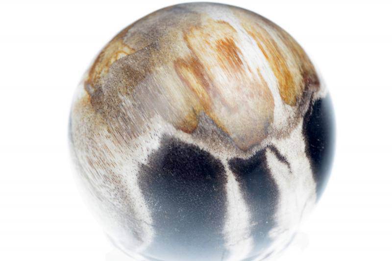 Petrified wood sphere – 40mm