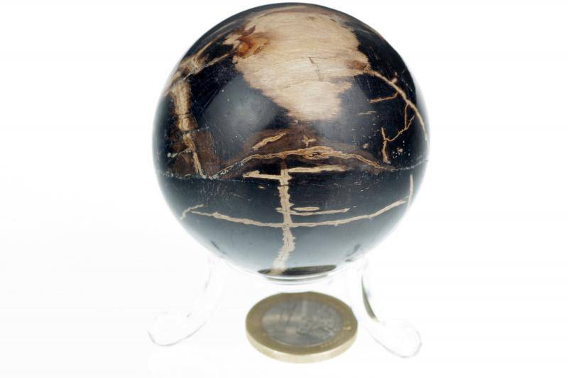 Petrified wood sphere – 50mm