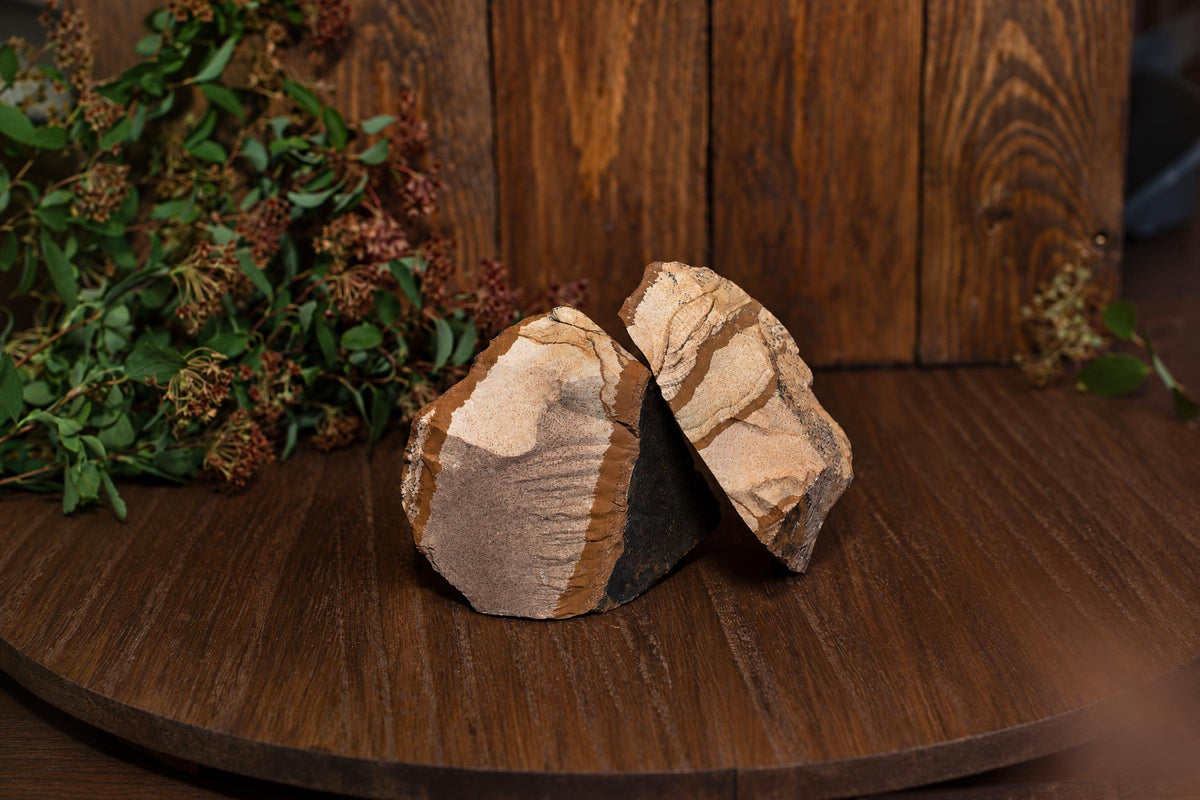Two pieces of Picture jasper with layered brown, tan and grey bands rest on a dark wooden surface beside greenery.