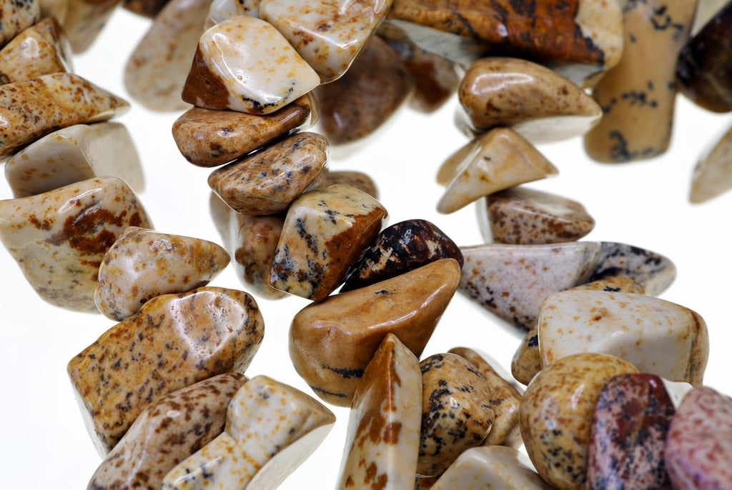 Close-up of overlapping strands of polished cream and tan stone chips with brown and black mottling on a white background.