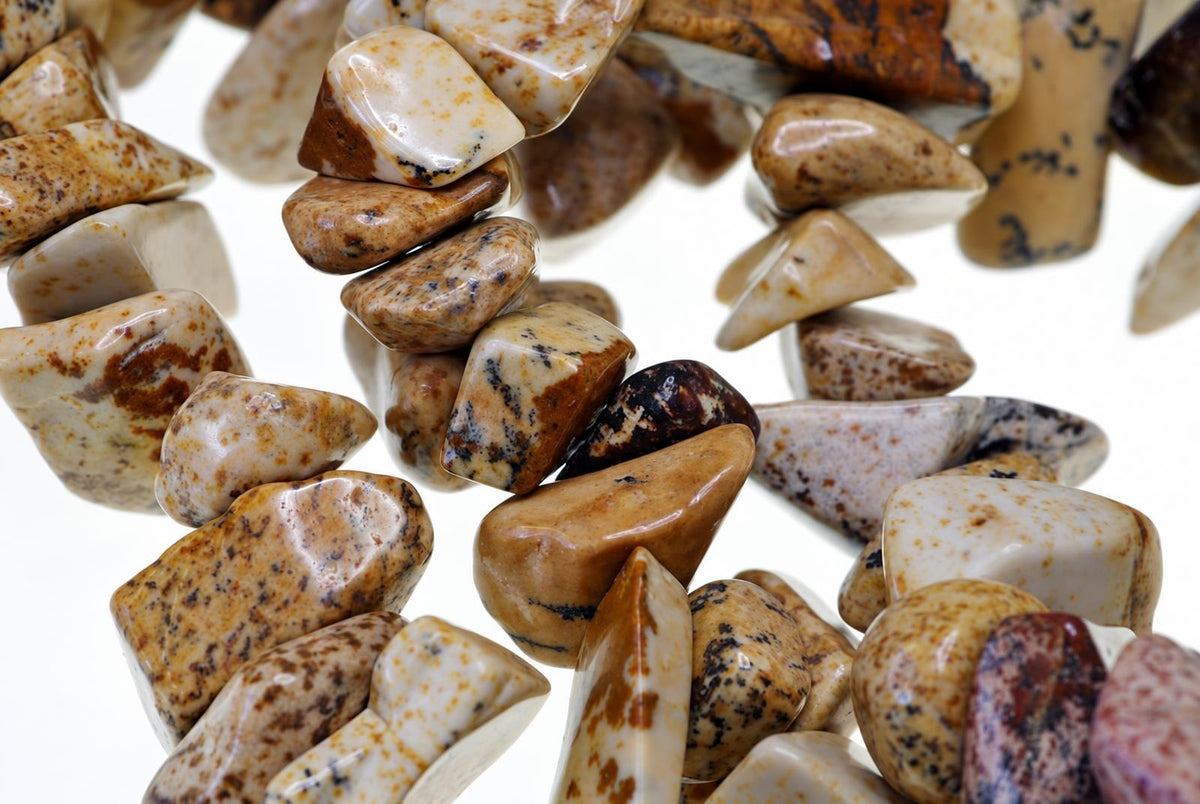 Close-up of overlapping strands of polished cream and tan stone chips with brown and black mottling on a white background.
