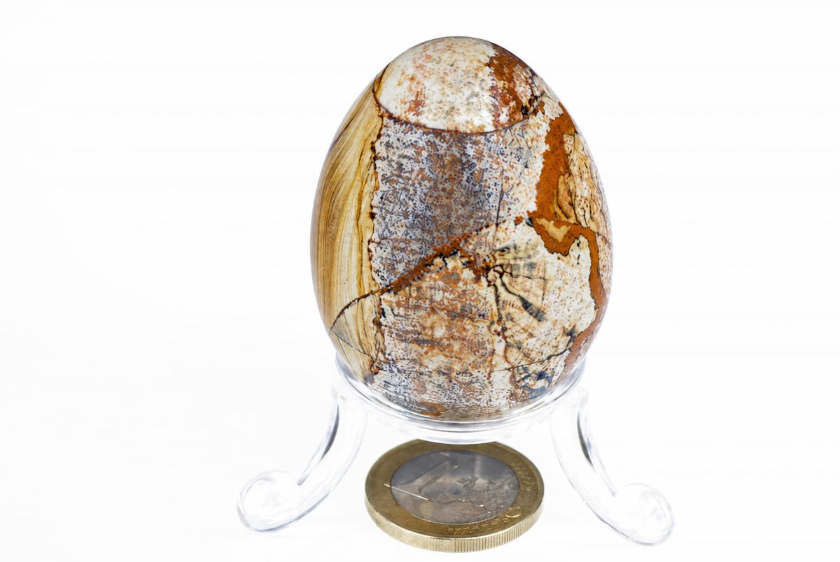 A polished egg-shaped jasper stone with brown, white and grey patterns sits on a clear plastic stand against a white background.