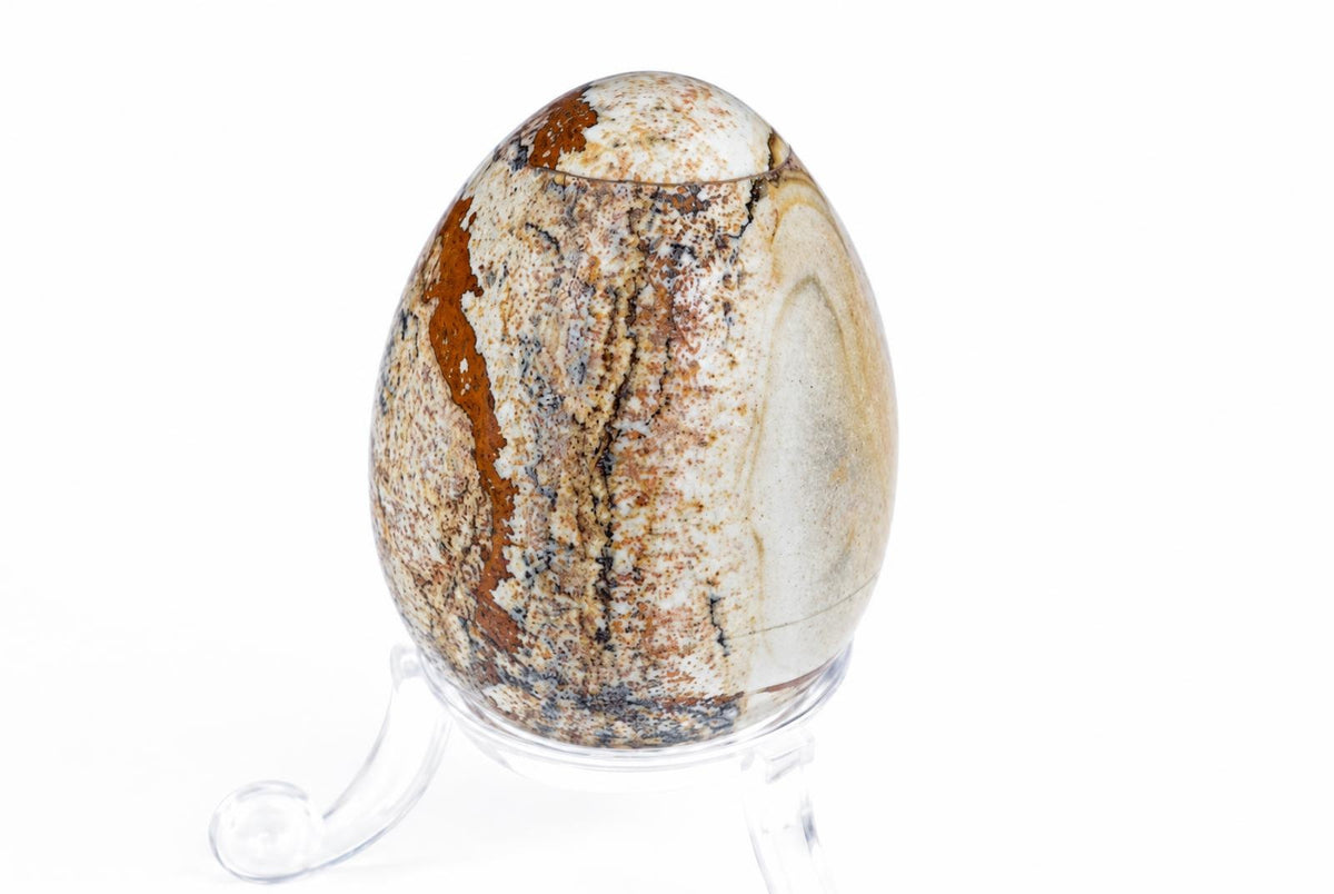 A polished egg-shaped stone with brown, black and white patterns sits on a clear stand against a white background.