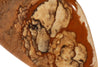 Picture jasper L