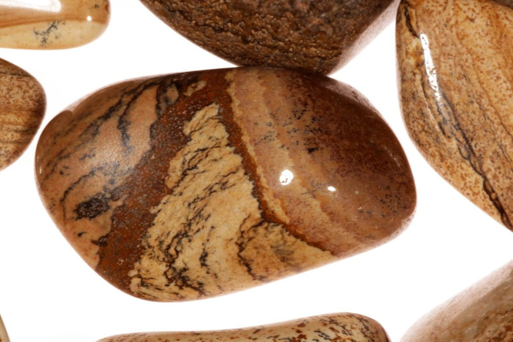 Picture jasper L
