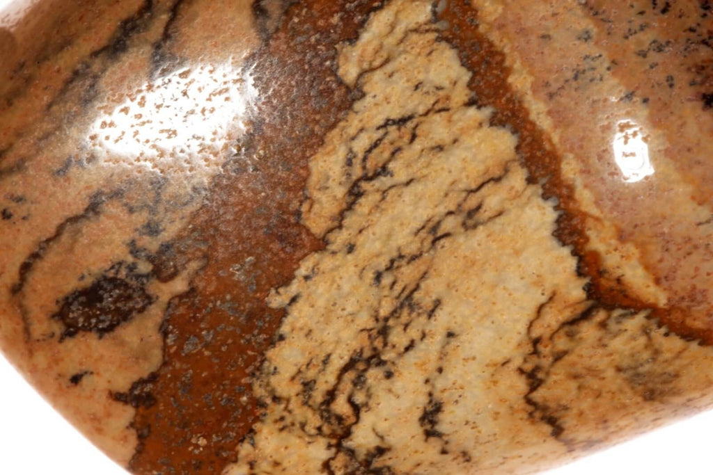 Picture jasper L