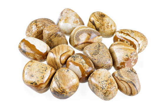 A pile of smooth, polished Picture jasper stones with brown, cream and black patterns on a white background.