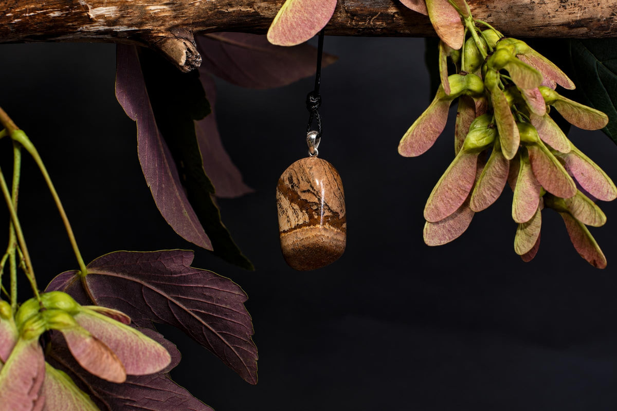 A polished brown oval stone pendant with darker markings hangs from a black cord beneath a branch among winged seeds and leaves.