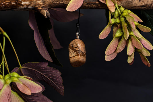 A polished brown oval stone pendant with darker markings hangs from a black cord beneath a branch among winged seeds and leaves.