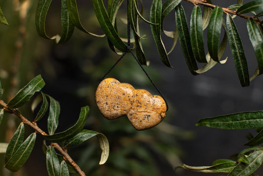 A polished, yellowish-brown pendant with black speckles hangs from a dark cord on a branch with green leaves.