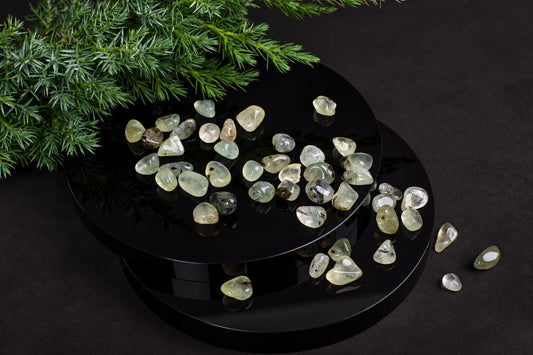 Small pale green translucent stones are scattered across a black circular display and the surrounding surface beneath green foliage.