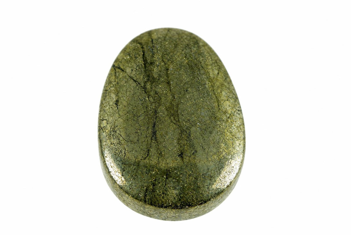 A polished, oval-shaped stone with a greenish-brown surface and dark veins, set against a white background.