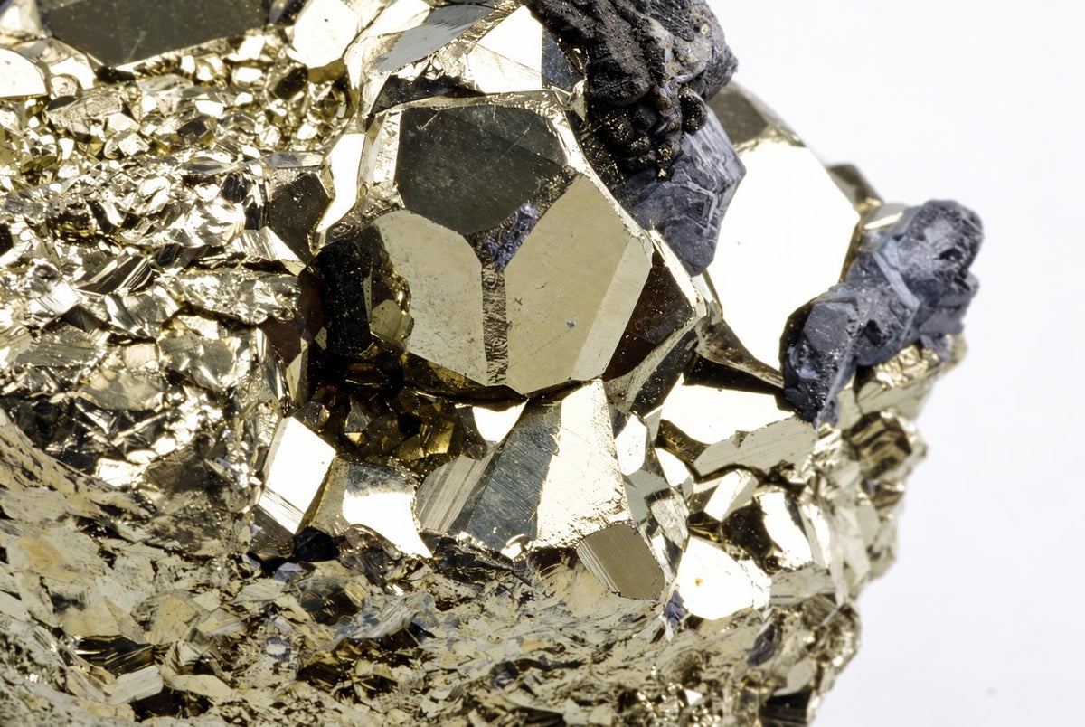 A close-up of a pyrite specimen with golden, metallic crystals and dark blue-grey mineral inclusions on a white background.