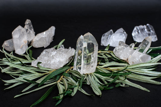 Several clear quartz crystals and rough stones rest on a bed of green leaves against a dark surface.
