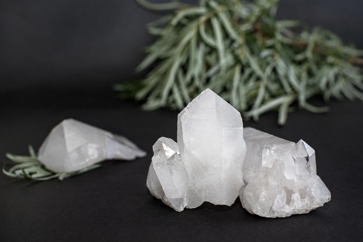 Three white quartz crystal clusters on a dark surface, with green foliage in the background.