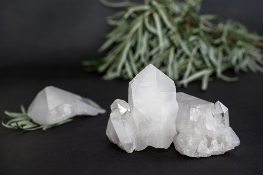 Three white quartz crystal clusters on a dark surface, with green foliage in the background.