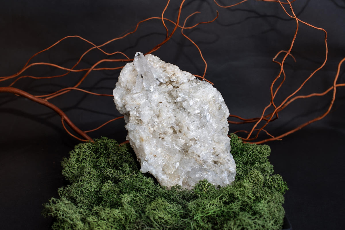 A white quartz crystal cluster sits on green moss with brown branches against a dark background.