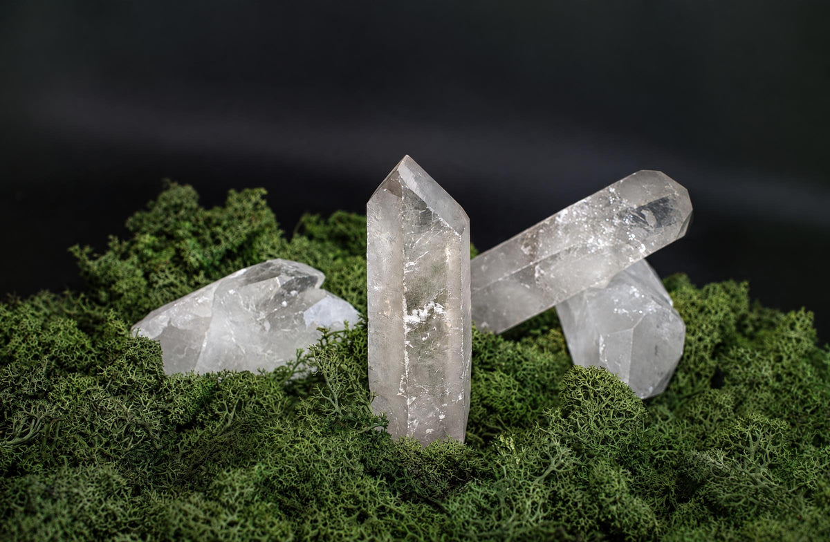 Four clear quartz crystals on a dark surface, resting on green moss.