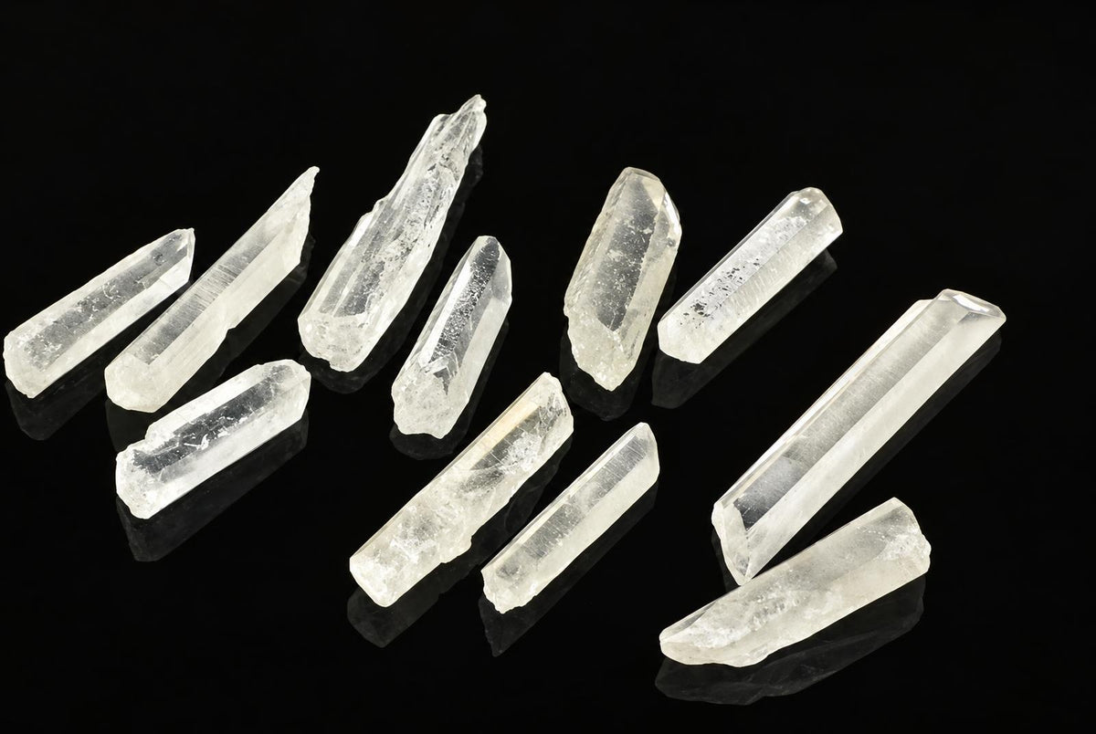 Twelve clear quartz points with pointed tips arranged on a dark, reflective surface.