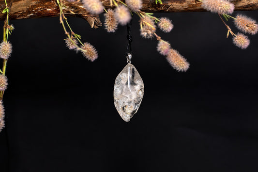 A clear quartz pendant with internal inclusions hangs from a black cord against a dark background, framed by fuzzy plant sprigs.