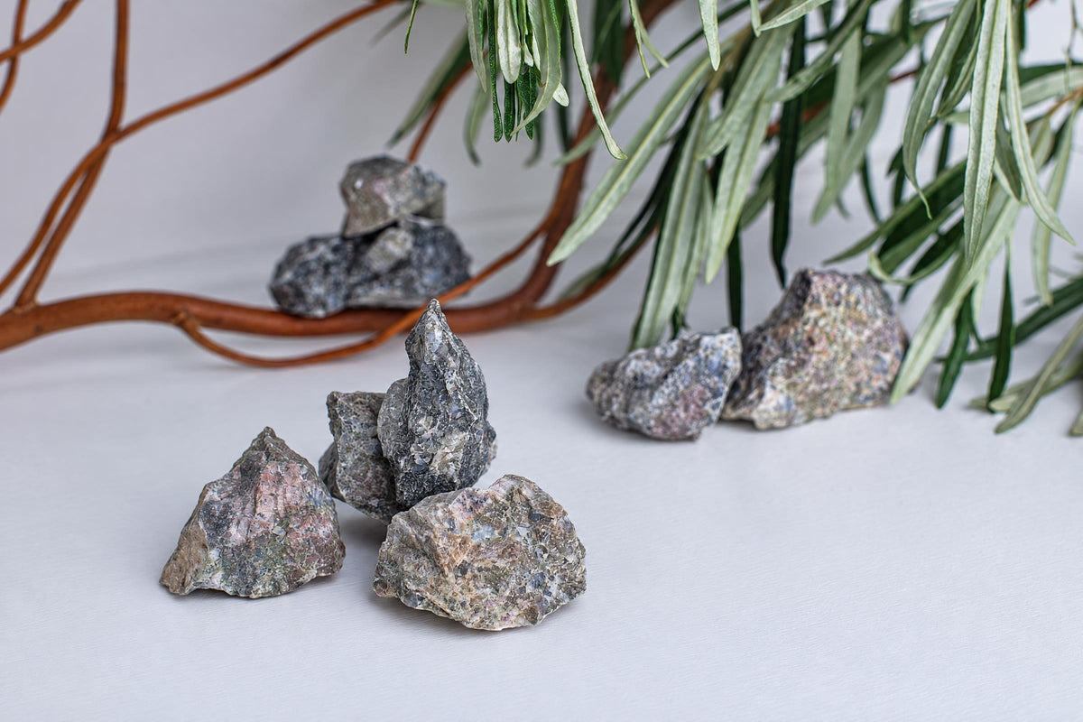 Several rough, multi-colored rocks with grey and pink speckles rest on a pale surface near green leaves.