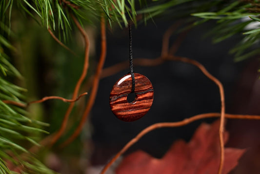 A reddish-brown circular pendant with a central hole and dark horizontal bands hangs from a black cord among green foliage and dried stems.
