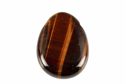 A polished, oval-shaped stone with dark brown and golden stripes on a white background.